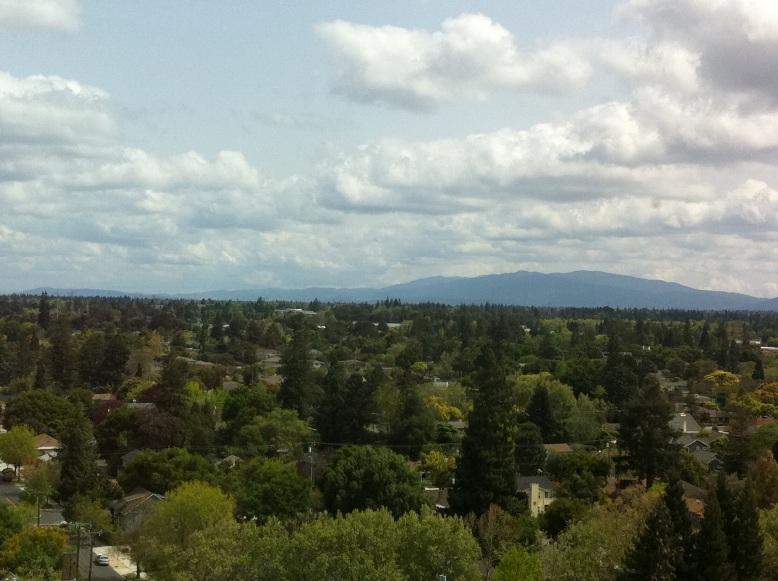 View from our officec